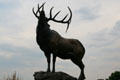 Sculpture of bull elk at Leanin' Tree Museum.