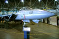 Grumman F-14 Tomcat Buno at Wings Over the Rockies Museum. Denver, CO.