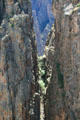 Constricted river canyon of Gunnison National Park. CO.
