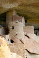 Towers in caves of Cliff Palace in Mesa Verde National Park. CO.