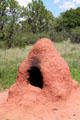 Clay bake oven at 1860's Galloway Homestead at Rock Ledge Ranch Historic Site. Colorado Springs, CO.