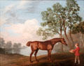 Pumpkin with Stable-lad painting by George Stubbs at Yale Center for British Art. New Haven, CT.
