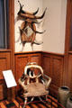 Horn hatrack & horn chair attrib. Wenzel Friedrich of San Antonio, TX at Yale University Art Gallery. New Haven, CT.