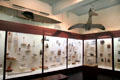 Display of Arctic & Northwest Coast native art at Yale Peabody Museum. New Haven, CT.