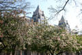 Fruit trees blossom in Franklin Square. Washington, DC.