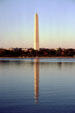 Washington Monument reflected in Tidal Basin. Washington, DC.