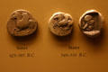 Greek Stater coins in American History Museum. Washington, DC.