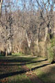 Mélisande's Allée Garden at Dumbarton Oaks. Washington, DC.