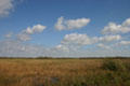 Rivers of grass of Everglades National Park. FL.