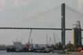 Cable-stays of Talmadge Memorial Bridge. Savannah, GA.