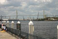 Talmadge Memorial Bridge from riverfront park. Savannah, GA.