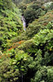 Waterfall seen from bridge at Nanue. Big Island of Hawaii, HI.