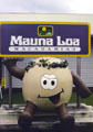 Big nut greeting statue at Mauna Loa Macadamia factory. Big Island of Hawaii, HI