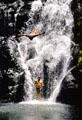 Diving from waterfall at Waimea Valley Adventure Park. Oahu, HI.