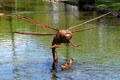 Pinao dragonfly sculpture in Kapi''olani Park