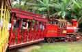 Tour train at Dole Plantation. HI.