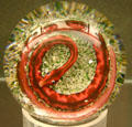 Red glass snake paperweight at Illinois State Museum. Springfield, IL.
