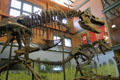 Tyrannosaurus rex skeleton at Museum of World Treasures. Wichita, KS.