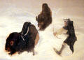 Buffalo Hunting painting by Blackbear Bosin at Sedgwick County Historical Museum. Wichita, KS.