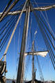 Masts of Columbus's ship Nina replica. Baton Rouge, LA.