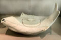 Chinese carp porcelain tureen at Peabody Essex Museum. Salem, MA.