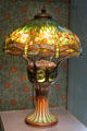 Hanging Head Dragonfly table lamp by Louis Comfort Tiffany of New York City at Museum of Fine Arts. Boston, MA.