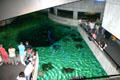 Visitors watch stingrays at National Aquarium in Baltimore. Baltimore, MD.