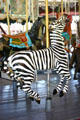 Zebra on Herschell-Spillman Carousel at Greenfield Village. Dearborn, MI.