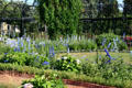 Blue garden in Clemens Botanical Gardens. St. Cloud, MN.