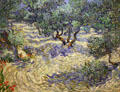Olive Orchard painting by Vincent van Gogh at Nelson-Atkins Museum. Kansas City, MO.
