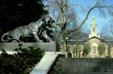 Bengal Tigers by Bruce Moore on mall between Clio & Whig Halls with Nassau Hall in Nassau Hall. NJ.