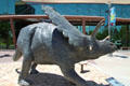 Pentaceratops sculpture by David A. Thomas at New Mexico Museum of Natural History & Science. Albuquerque, NM