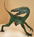 Coelophysis sculpture at New Mexico Museum of Natural History & Science. Albuquerque, NM