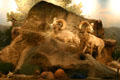 Bighorn sheep in desert diorama at Las Vegas Natural History Museum. Las Vegas, NV.