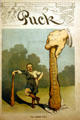 Puck magazine cartoon of Theodore Roosevelt with his big stick in Inaugural Site. Buffalo, NY.