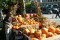 Pumpkins at neighborhood market. Buffalo, NY.