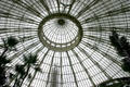 Palms in glass dome of conservatory of Botanical Gardens. Buffalo, NY.