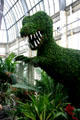 T-Rex topiary in conservatory of Botanical Gardens. Buffalo, NY.