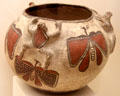 Zuni ceramic polychrome jar with frogs & butterflies from Zuni Pueblo, NM at Memorial Art Gallery. Rochester, NY.