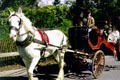 Horse-drawn carriage in Central Park. New York, NY.