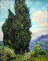 Cypresses by Vincent van Gogh at Metropolitan Museum of Art. New York, NY.