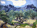 The Olive Trees painting by Vincent van Gogh at MoMA. New York, NY.