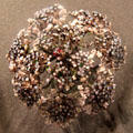 Precious stones Queen Anne's Lace hair ornament by Louis C. Tiffany at Metropolitan Museum of Art. New York, NY.
