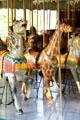 Prospect Park Carousel horse & giraffe by Charles Carmel. Brooklyn, NY.