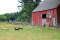 Red barn with sheep at Old Bethpage Village. Old Bethpage, NY.