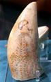 Scrimshaw woman in colored dress etched on tooth at Whaling Museum. Cold Spring Harbor, NY.