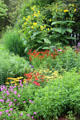 Mimi Meehan Native Plant Garden. East Hampton, NY.