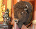 Remington sculpture & buffalo head by fireplace in North Room at Roosevelt's House Sagamore Hill NHS. Cove Neck, NY.
