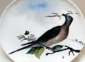 President Rutherford B. Hayes China plate with passenger pigeon painting by Haviland at Hayes Presidential Center. Fremont, OH