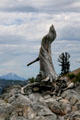 Twisted tree stump at Crater Lake National Park. OR